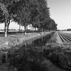 [ Kalverdijk, Polder ]