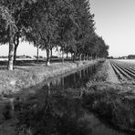 [ Kalverdijk, Polder ]