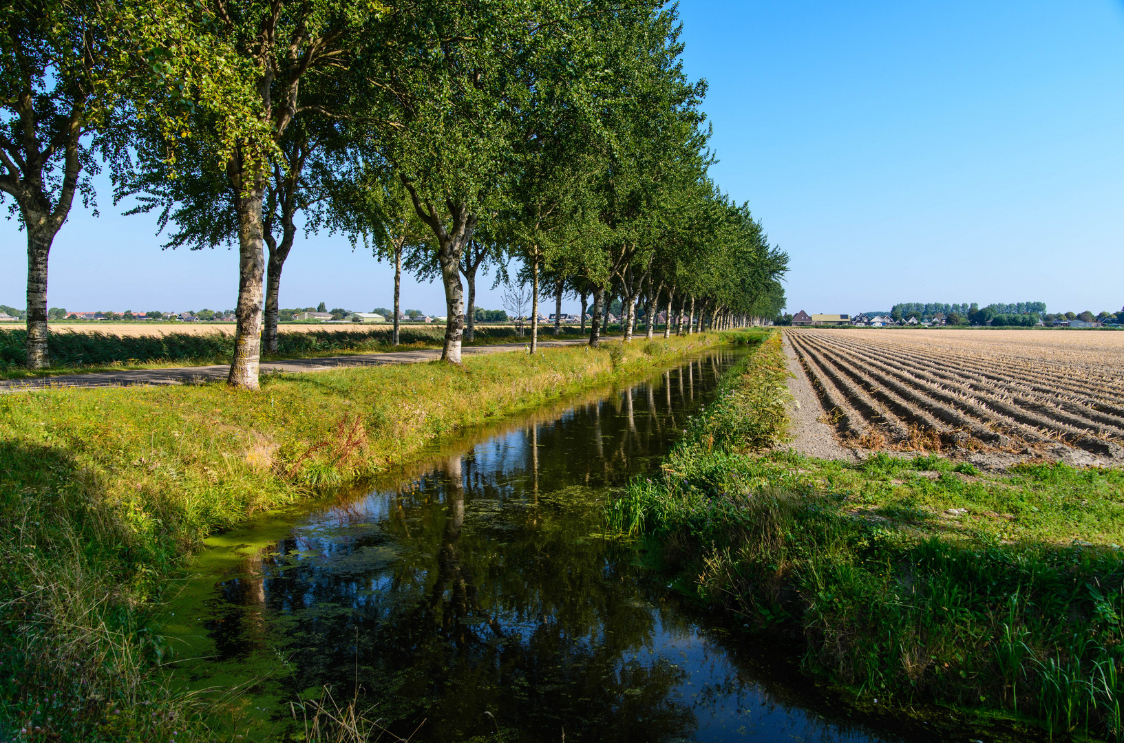 [ Kalverdijk, Polder ]