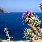 Kalymnos