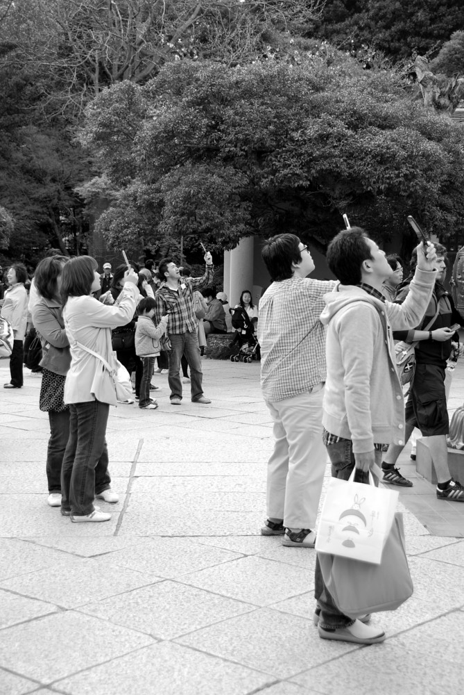 Kamakura - Daibutsu