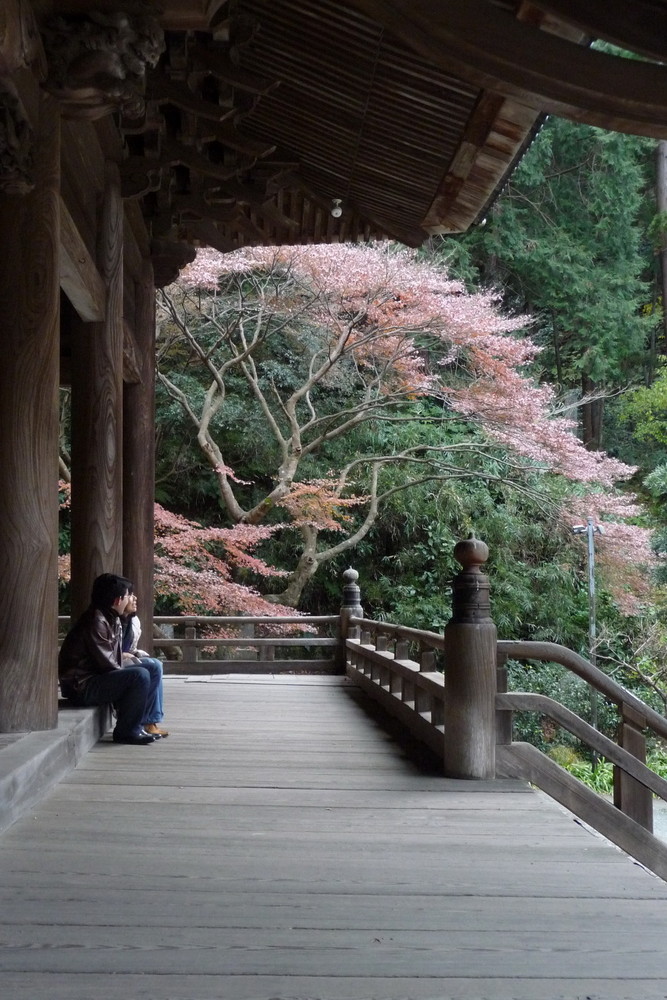 Kamakura Myohonshi Temple