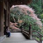 Kamakura Myohonshi Temple