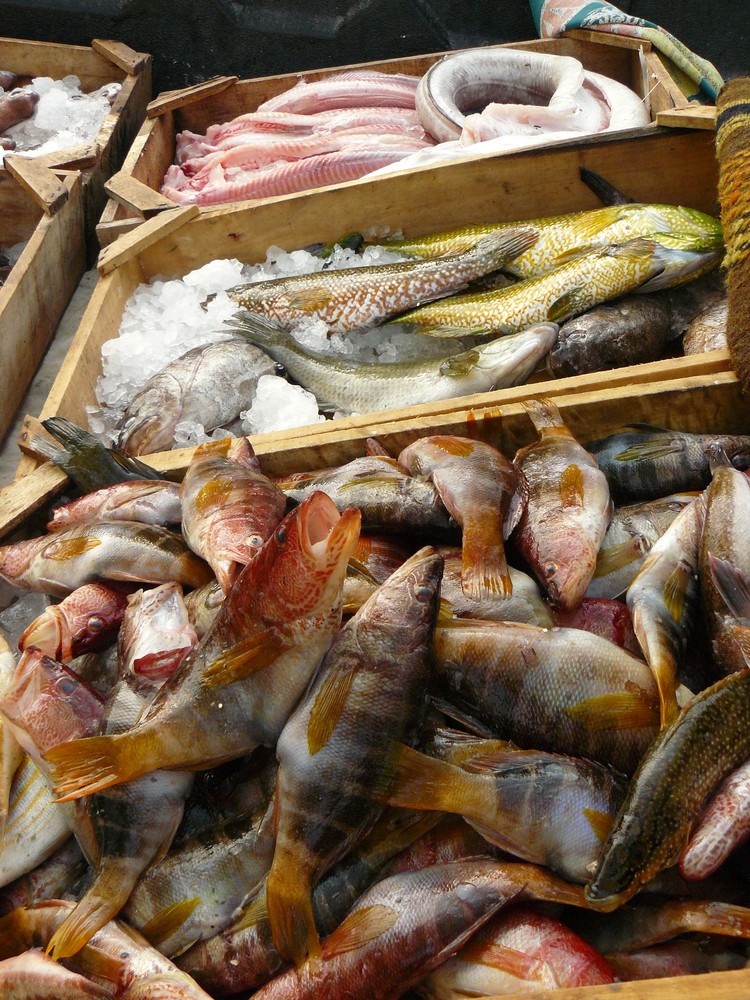 Kamari - Fischverkauf