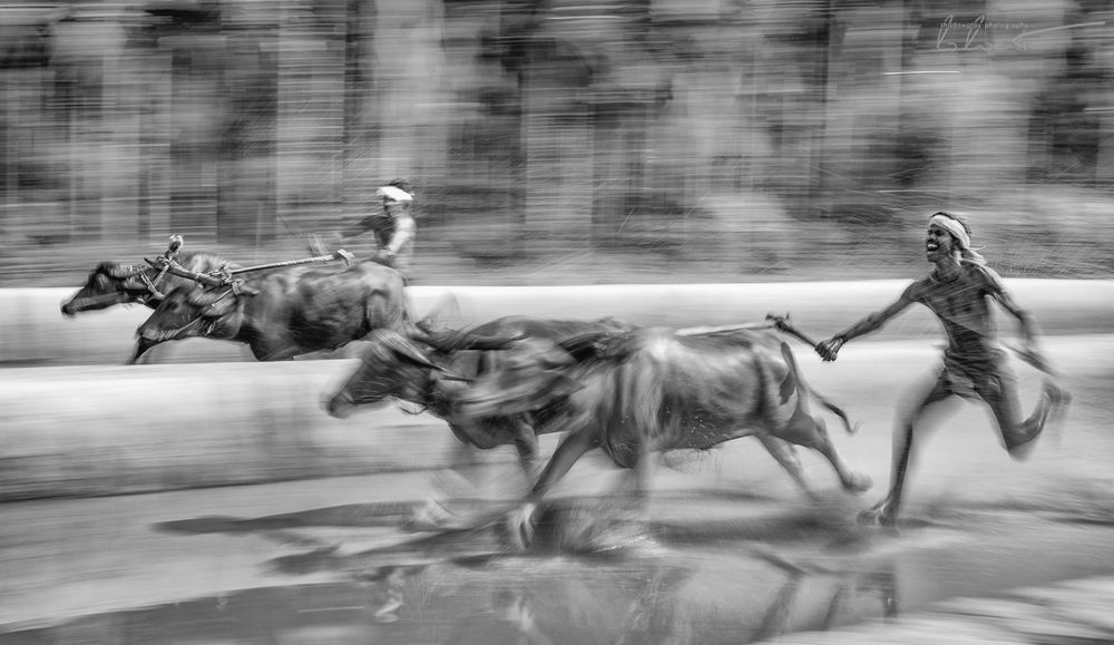 Kambala ~ Karnataka, India (re-edit)