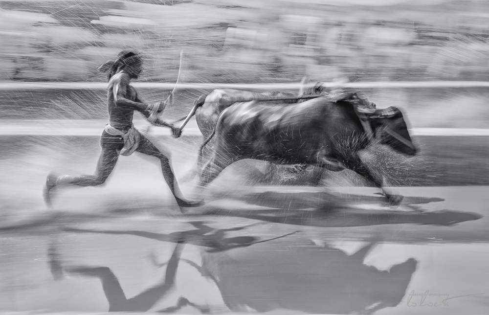 Kambla ~ Karnataka, India (re-edit)