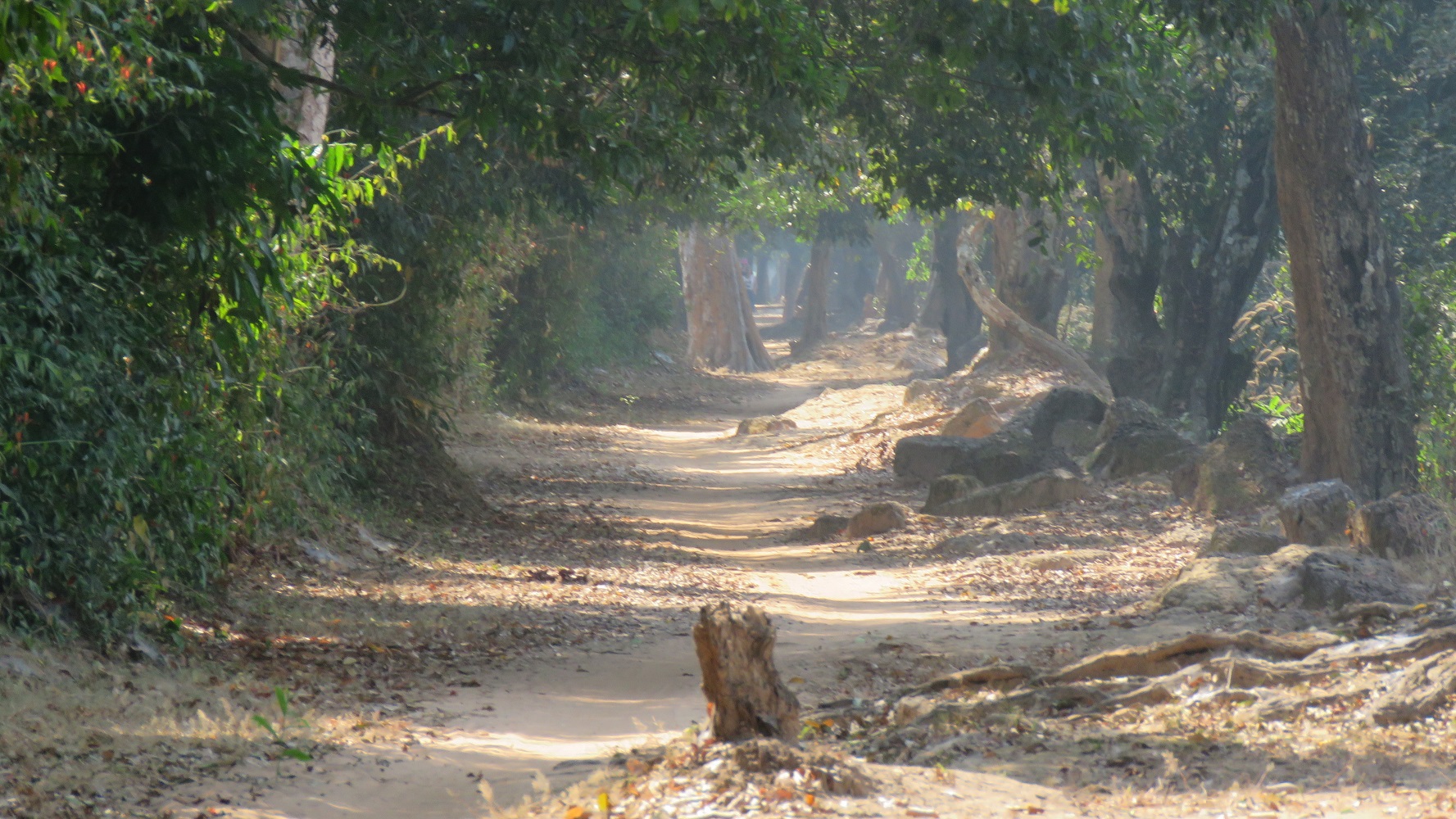 Kambodscha (2020), Bicycle Tour II