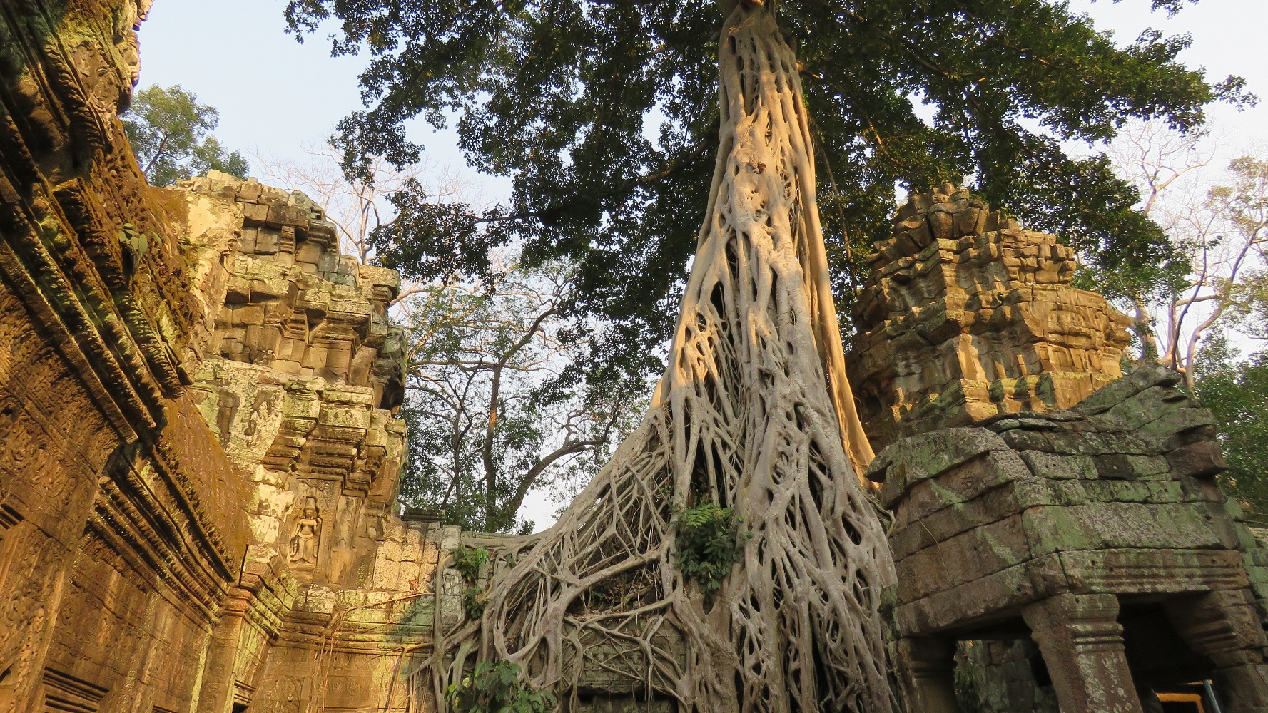 Kambodscha (2020), Ta Prohm