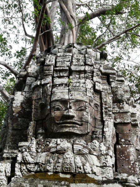 Kambodscha - Ankor Wat Tempelanlage