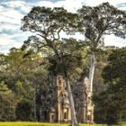 Kambodscha - bei Angkor Wat