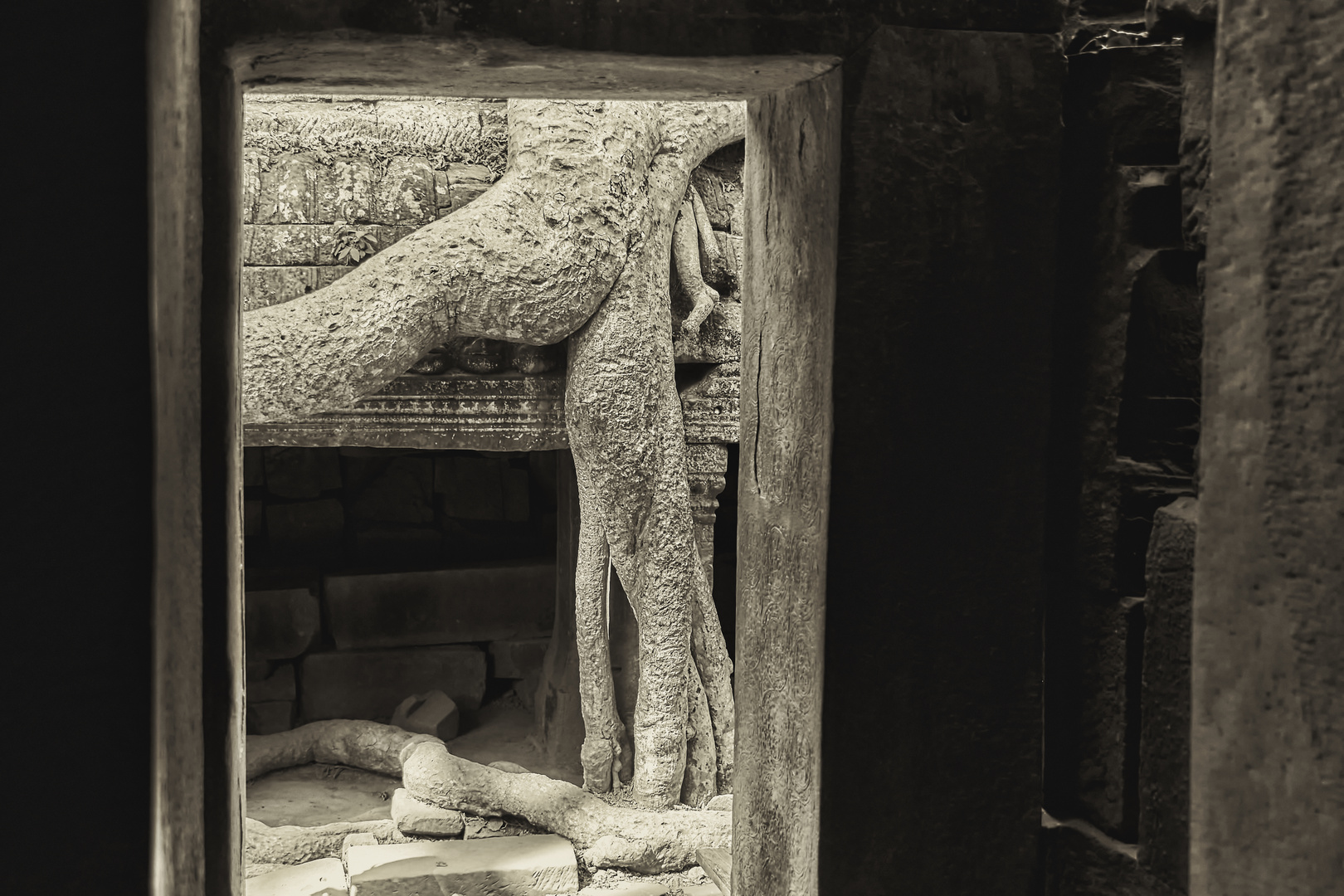 Kambodscha - Ta Phrom 1