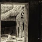 Kambodscha - Ta Phrom 1