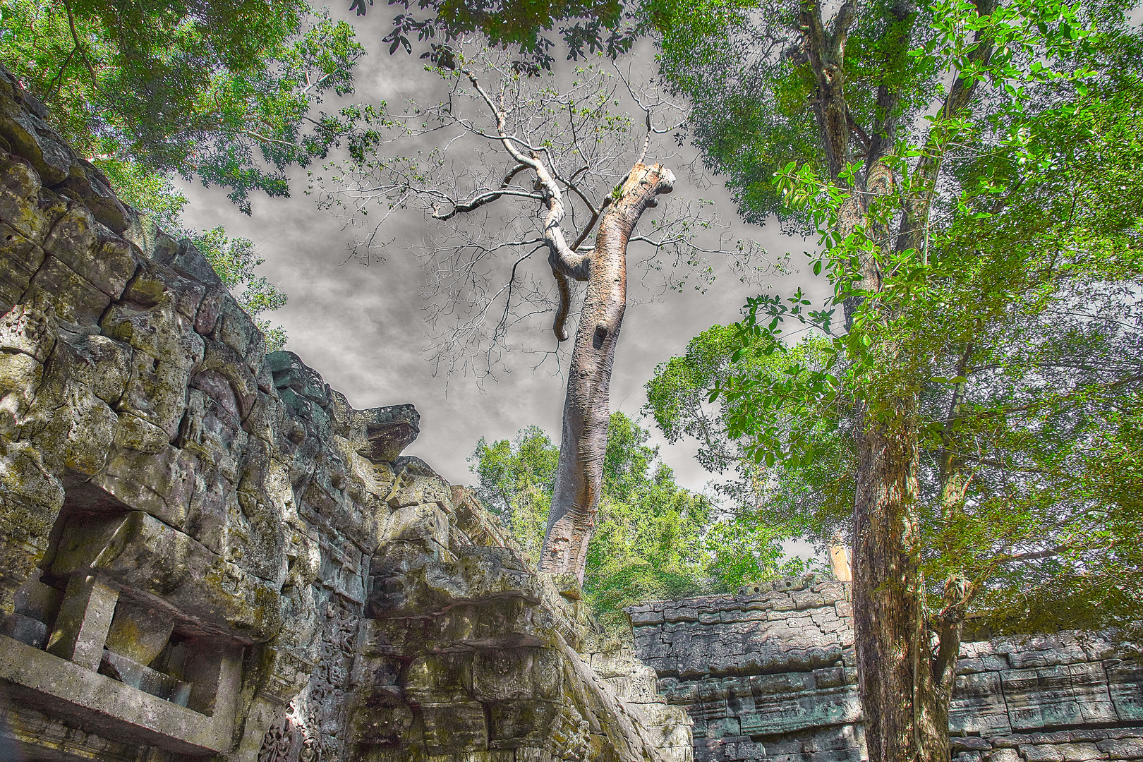 Kambodscha - Ta Phrom 2