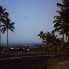 Kamehameha Ave,Hilo,Hawaii Feb,83