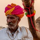 Kamel Hirte auf der Pushkar Camel Fair Rajasthan Indien