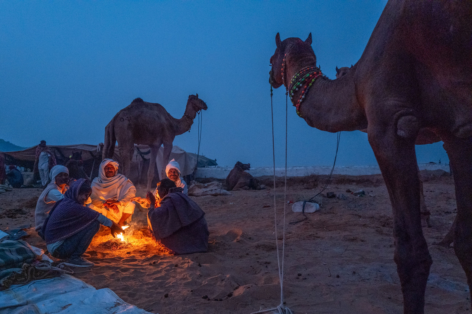 Kamel Hirten am Lagerfeuer Pushkar Camel Fair Rajasthan Indien