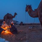 Kamel Hirten am Lagerfeuer Pushkar Camel Fair Rajasthan Indien