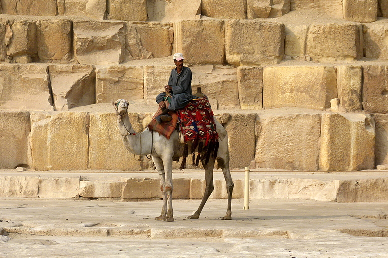 ...Kamel und Reiter vor altehrwürdigen Steinen der Cheops Pyramide...