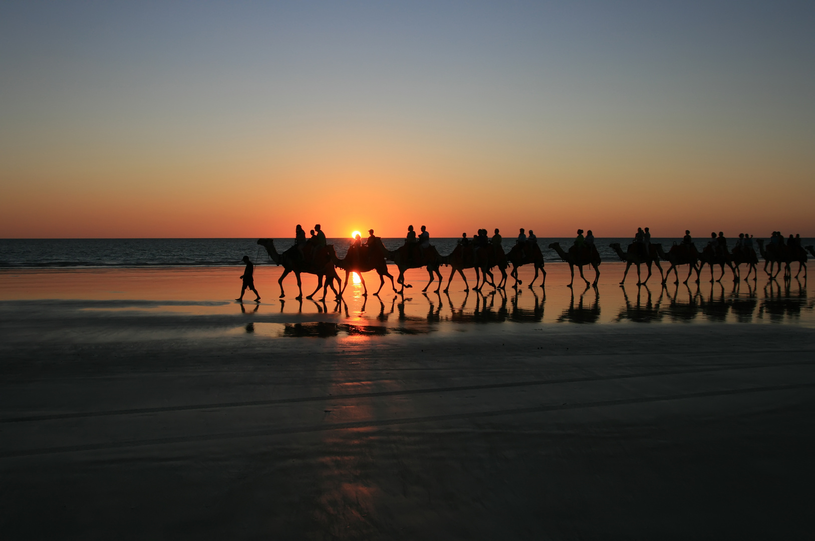 Kamele im Sonnenuntergang in Australien