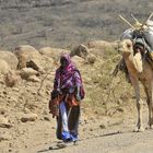 Kamele sind das ideale Transportmittel