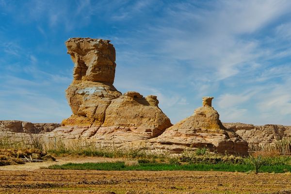 Kamelfelsen  in der Wüste
