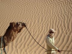 Kamelführer in der Sahara