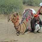 Kamelführer mit seinem Dromedar