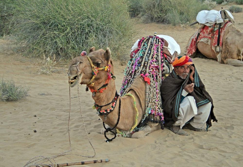 Kamelführer mit seinem Dromedar