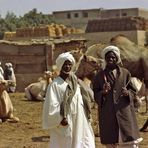 Kamelhändler, außerhalb Kairo