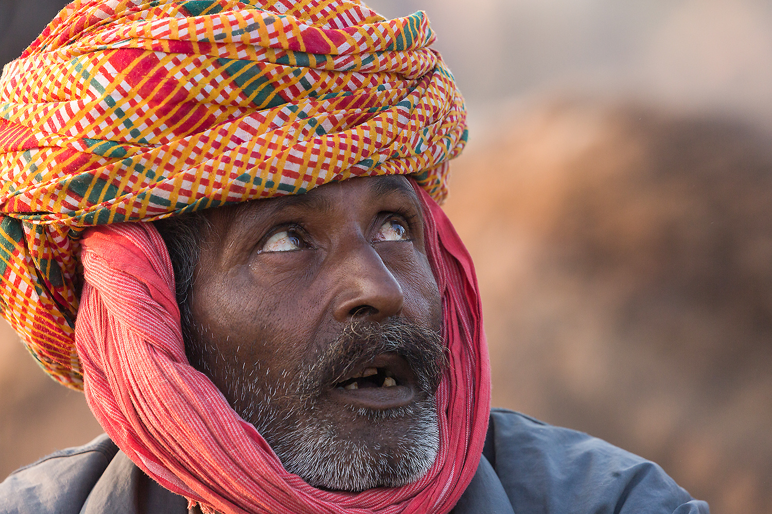 Kamelhändler Rajasthan