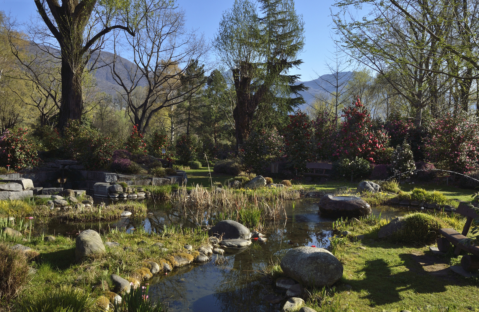 Kamelienausstellung, Parklandschaft in Locarno