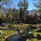 Kamelienausstellung, Parklandschaft in Locarno