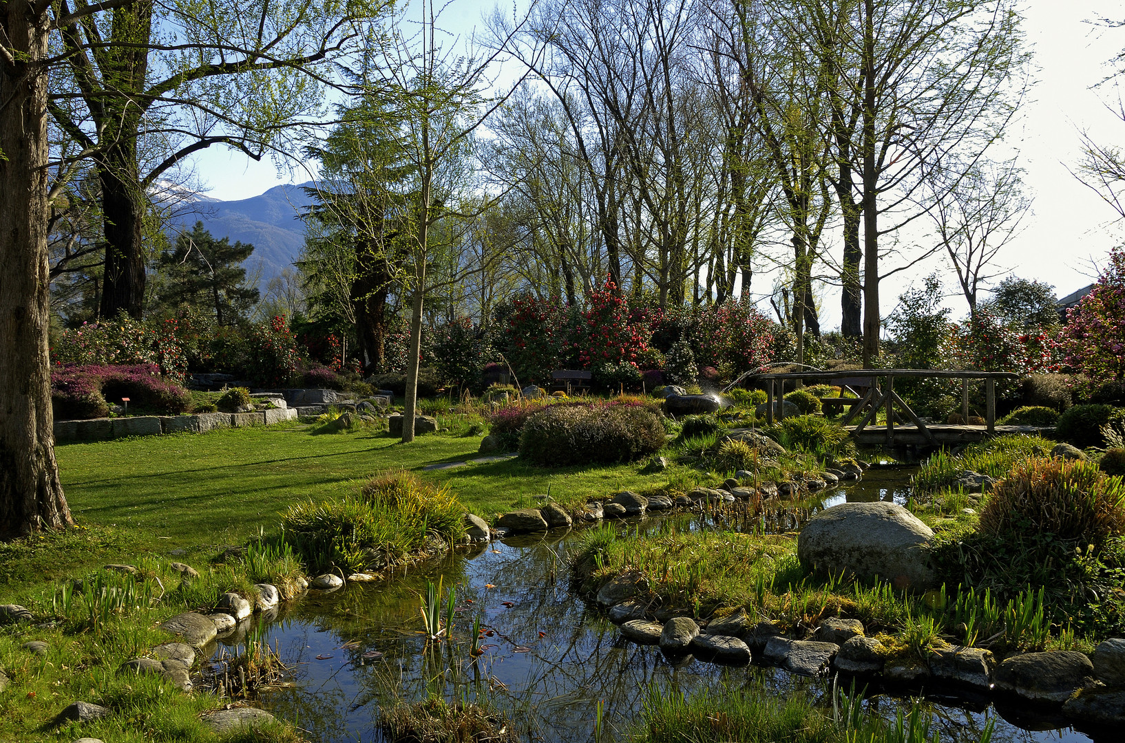 Kamelienpark Locarno