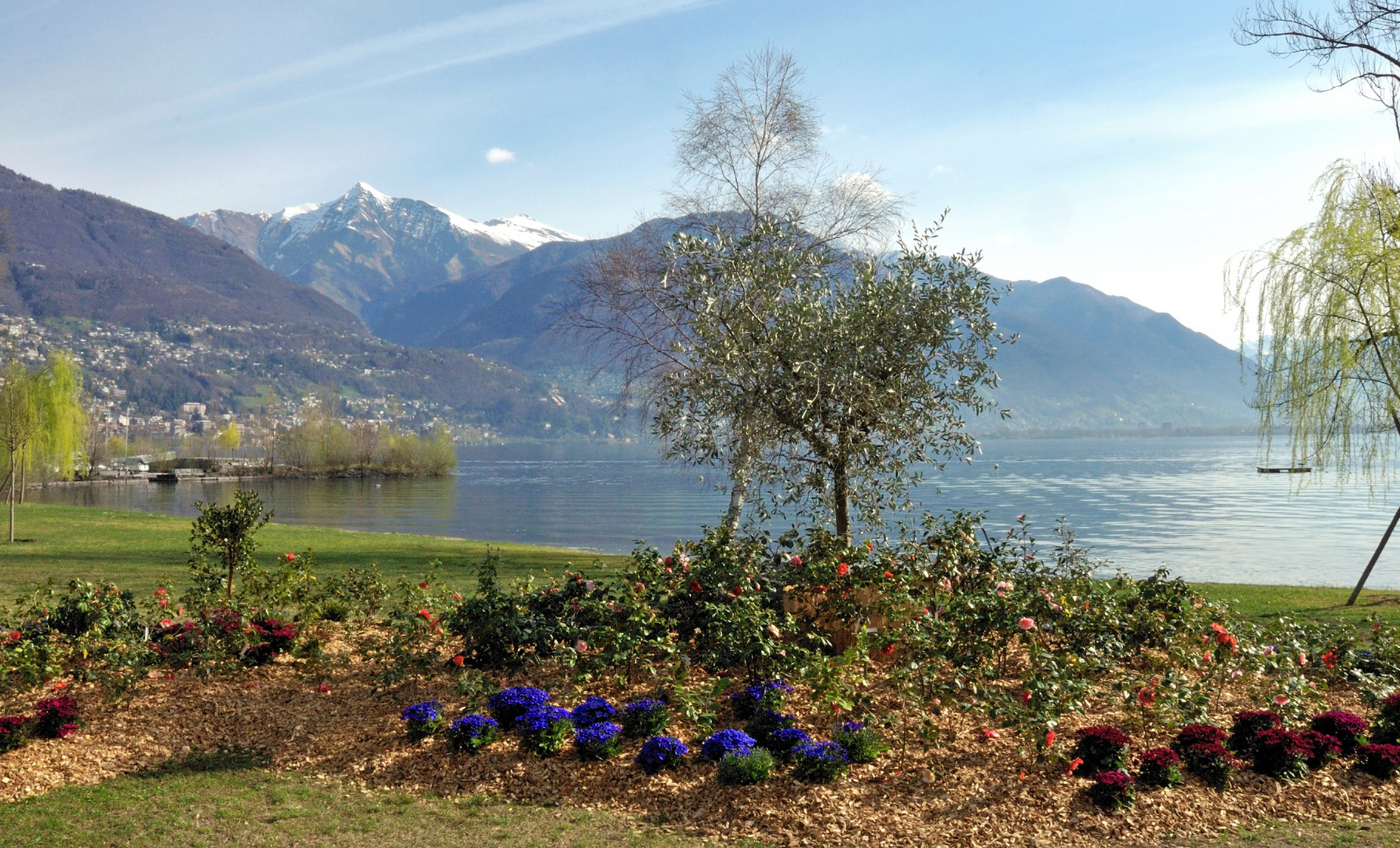 Kamelienpark Locarno am Lago Maggiore