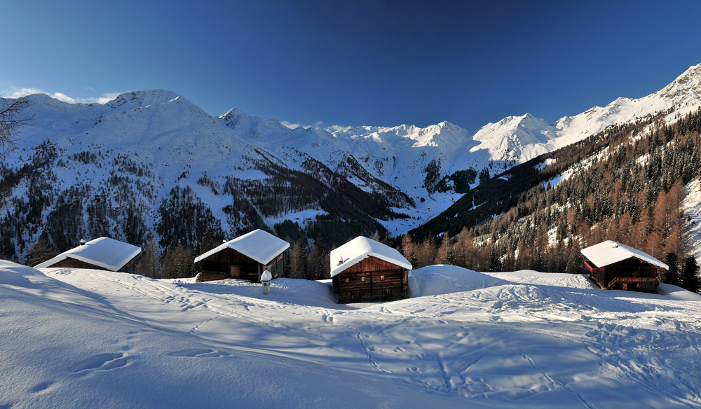 Kamelisen Alm