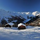 Kamelisen Alm