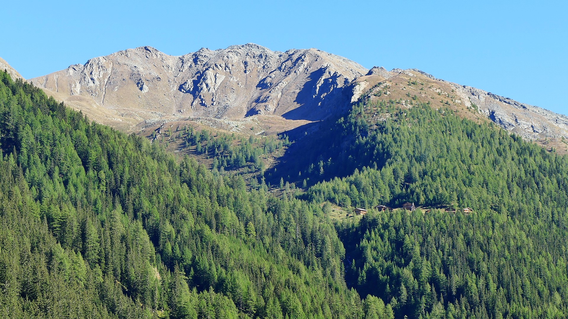 Kamelisenalm und Grumauer Berg