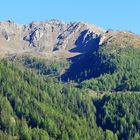 Kamelisenalm und Grumauer Berg