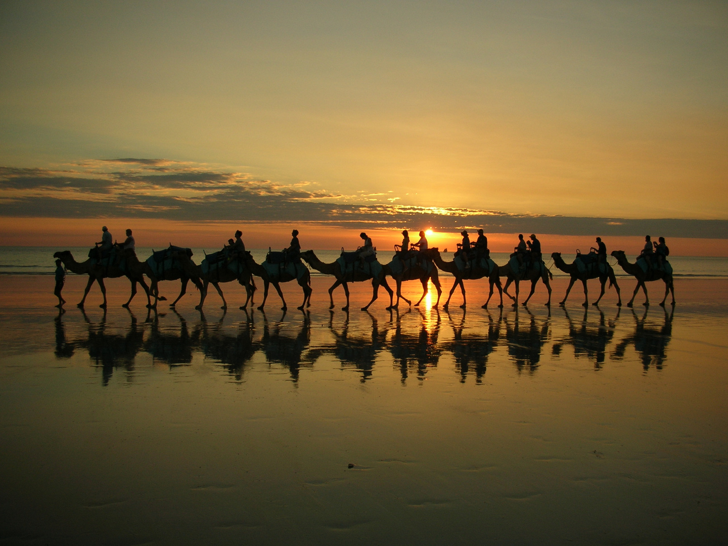 Kamelkarawane Cable Beach, Broome, Australien