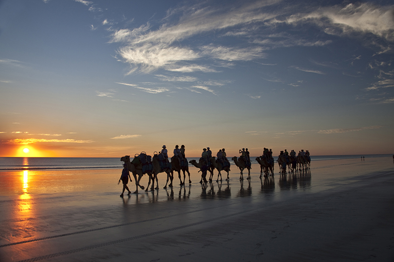 Kamelkarawane im Sonnenuntergang am Cable Beach, Broome, Australien (West)