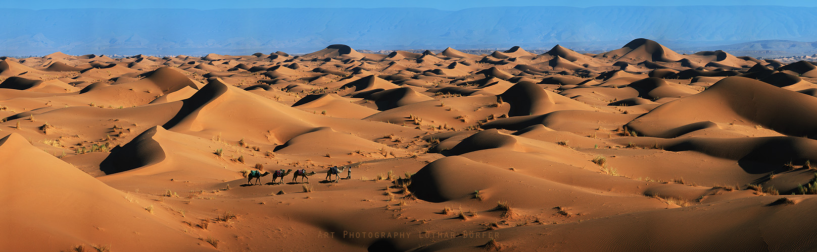 Kamelkarawane in der Sahara