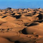 Kamelkarawane in der Sahara