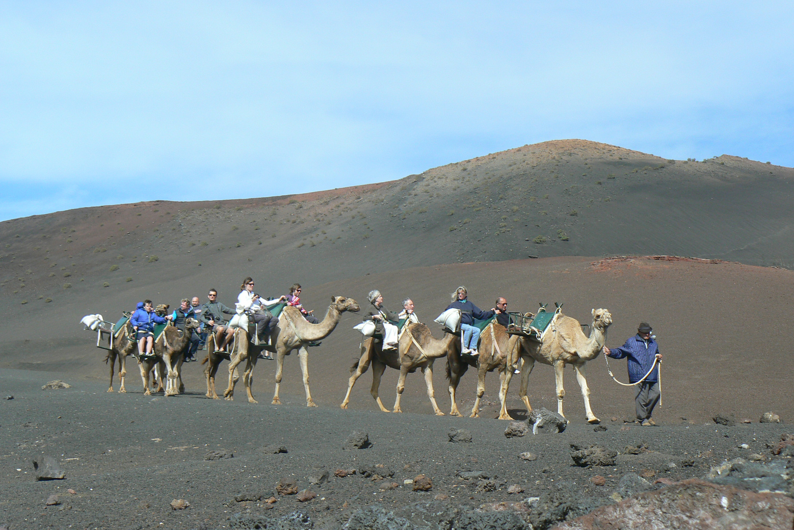 KAmelkarawane zum Timanfaya