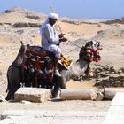 Kamelreiter bei der Pyramide von Sakkara