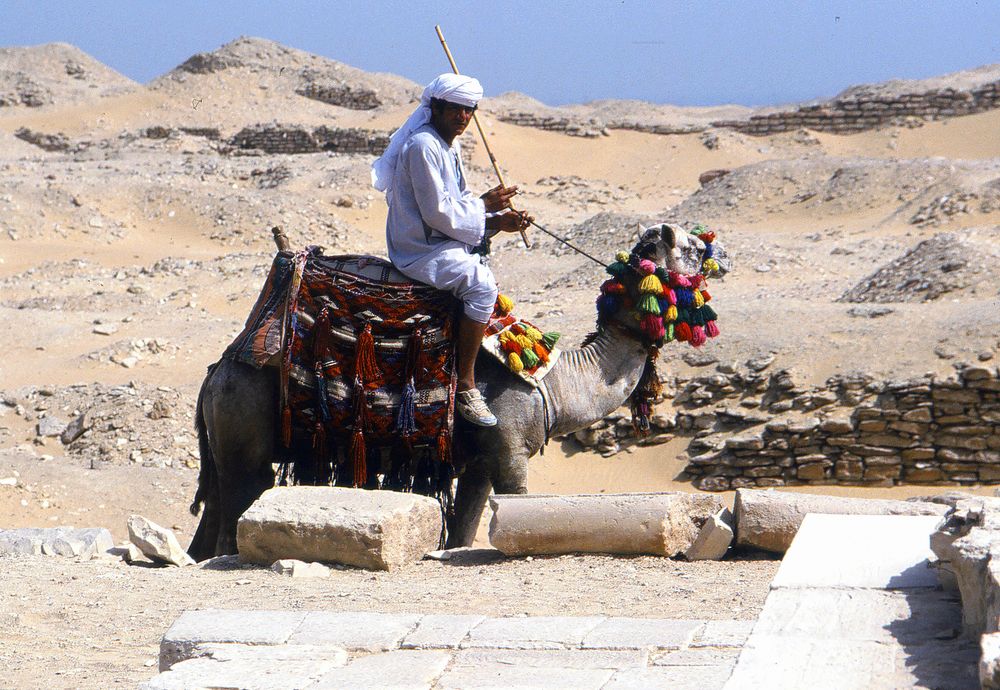 Kamelreiter bei der Pyramide von Sakkara
