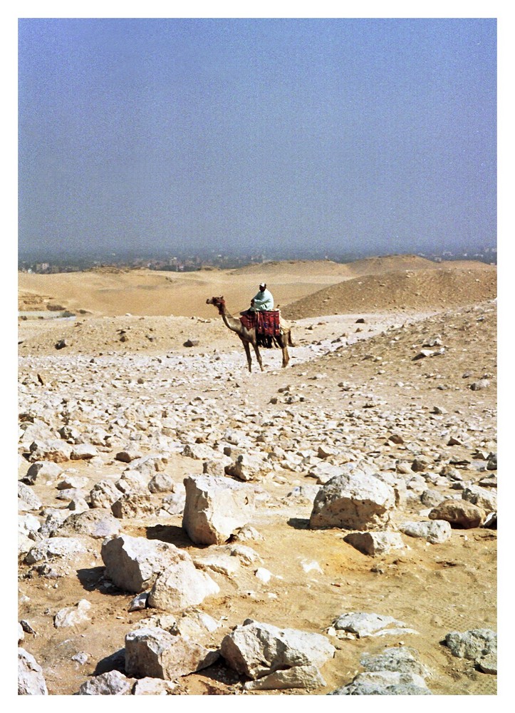 Kamelreiter in der Nähe der Pyramiden...Kairo im Hintergrund