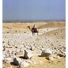 Kamelreiter in der Nähe der Pyramiden...Kairo im Hintergrund