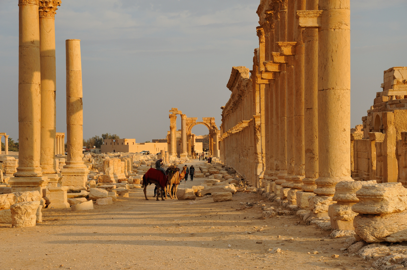 Kamelreiter in Palmyra