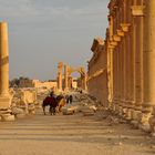 Kamelreiter in Palmyra