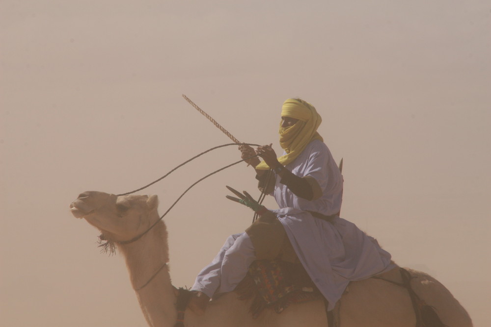 Kamelrennen in Ghat, Libyen